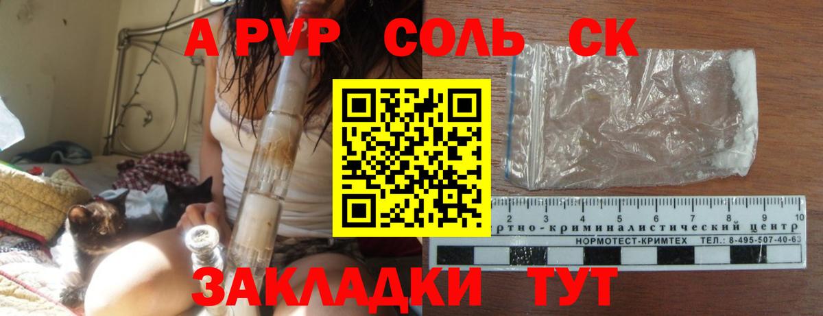 A PVP СК КРИС  Альфа ПВП СК  Ахтубинск  Вход с VPN 