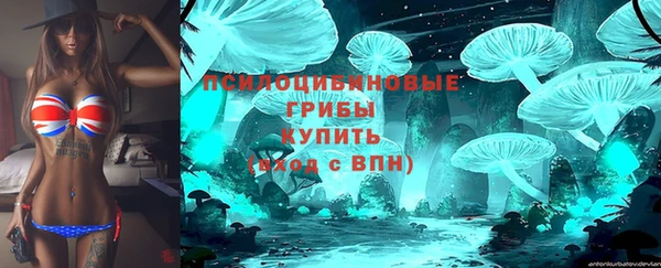 твердый Арсеньев