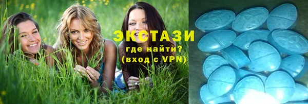 a pvp Аркадак