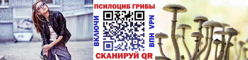 Псилоцибиновые грибы прущие грибы  маркетплейс Telegram  Ахтубинск  МЕГА зеркало 