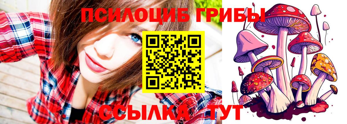 Галлюциногенные грибы ЛСД Ахтубинск